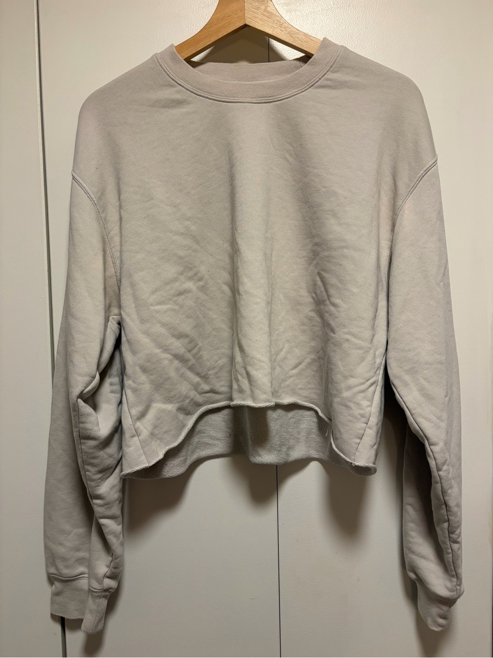 Aritzia TNA Light Gray Cropped Crewneck Sweatshirt - Women Tops